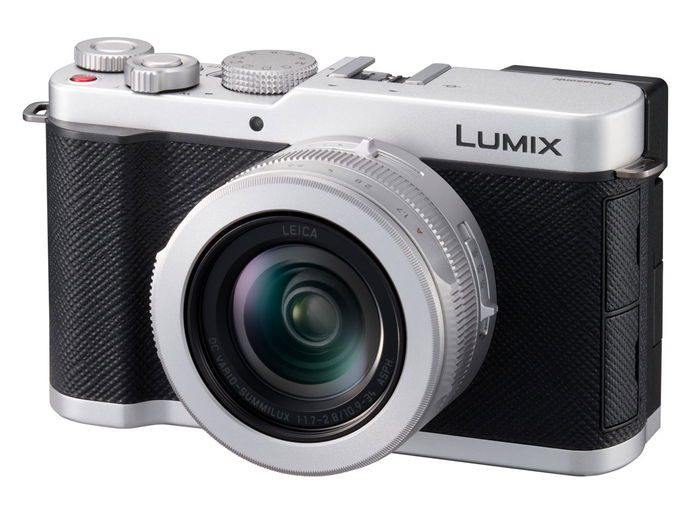 Panasonic LUMIX DC-L10
