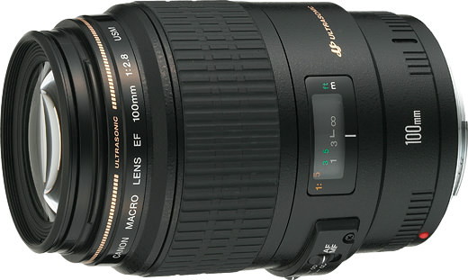 Canon EF100mm F2.8 マクロ USM
