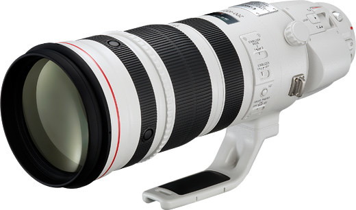 Canon EF200-400mm F4L IS USM エクステンダー 1.4×