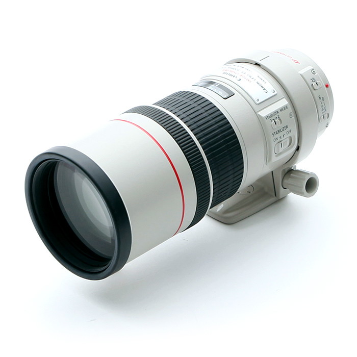 Canon EF300mm F4L IS USM