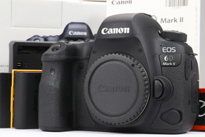 2024年08月20日に一心堂が買取したCanon EOS 6D Mark II ボディの画像