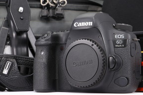 2025年05月26日に一心堂が買取したCanon EOS 6D Mark II ボディの画像