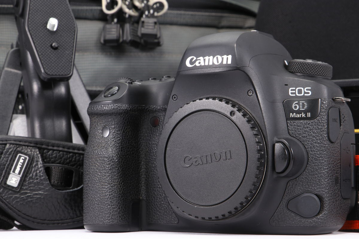 2025年05月26日に一心堂が買取したCanon EOS 6D Mark II ボディの画像