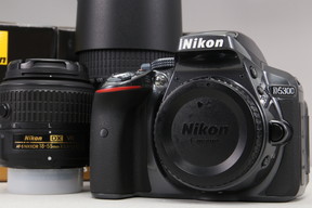 2026年01月29日に一心堂が買取したNikon D5300 ダブルズームキット グレーの画像
