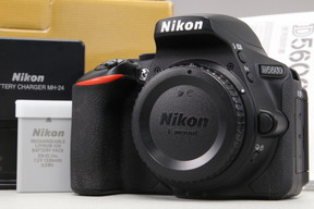 2026年04月30日に一心堂が買取したNikon D5600 ボディの画像